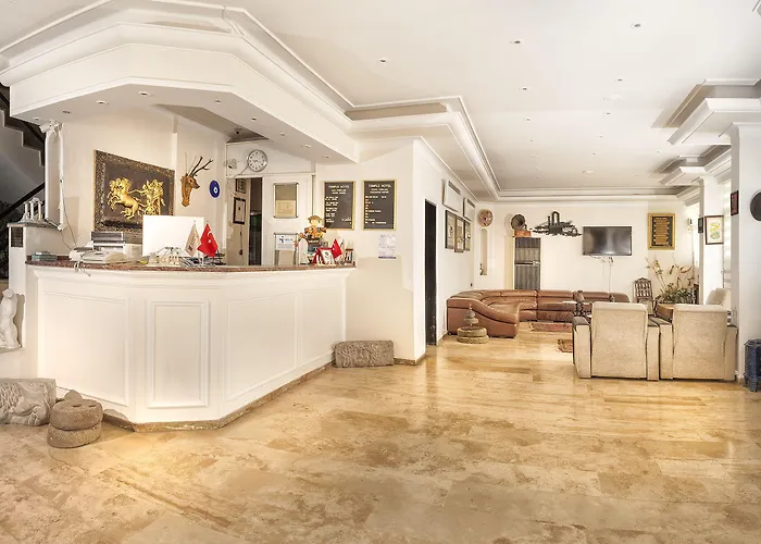 Temple Otel 3*